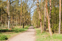 344222106_185903677709561_1185673391832878574_n