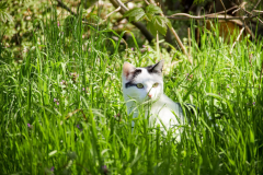 344338926_257691276823262_665644235520177918_n