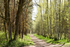 344397626_1434060030467007_234165218192533759_n