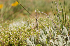 344427258_1274429910148221_8743259375520805897_n