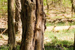 344450970_790141025582077_6228686569191613830_n