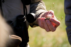 344558839_643677637773050_9064907981030183612_n