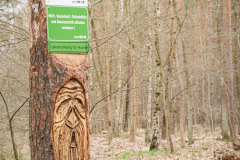 338249940_6367864203246931_5974880807199477108_n