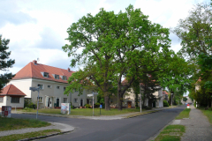 Dunja-Wolff-Fraktion-vor-Ort_19