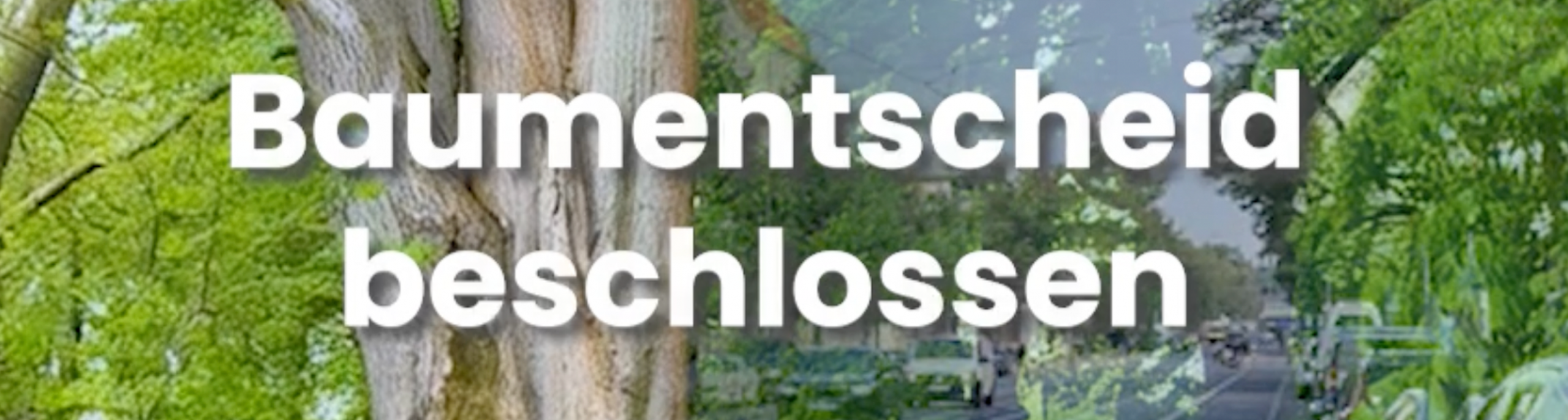 Baumentscheid Beschlossen